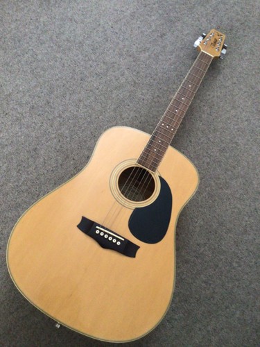 Vantage acoustic guitar - vantage,
