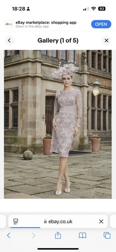 Bnwt dress from veni - bnwt,