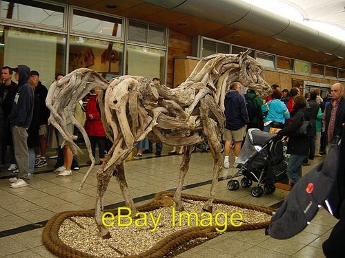 Photo 6x4 cork and - and, driftwood