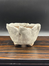 Medium rare 16cm  " 和鉢常滑 " Tokoname japanese bonsai pot vintage Japan Very good