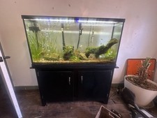 55-Gal Tank, Stand, Fluval 307