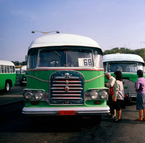 Travel malta green bus - travel,