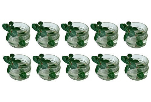 10x wedding table - wedding, centrepieces