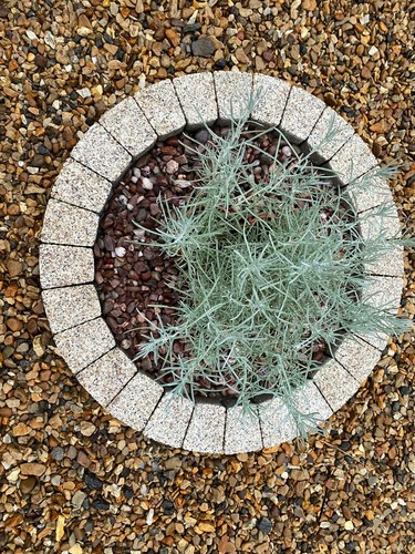 Garden bricks circle tree - garden,