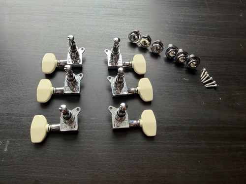 Prs bird wing - bird, 2026