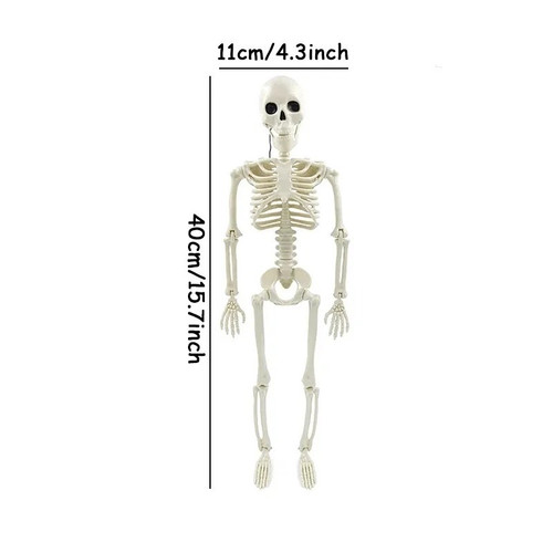 Giant life size - life, skeleton