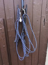 Pessoa Type Training / Lunging