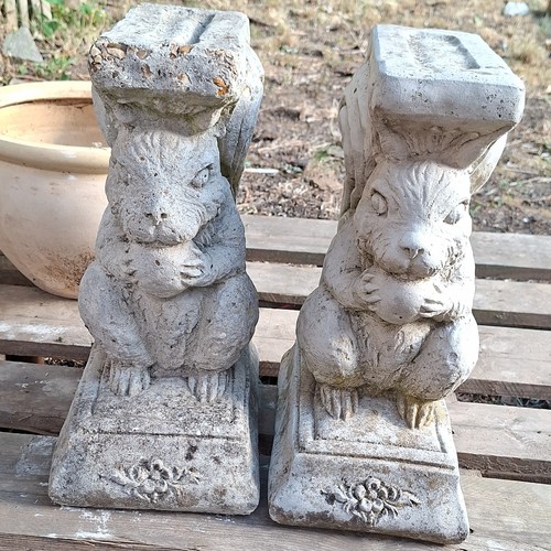 Pair grey stone - grey, squirrel