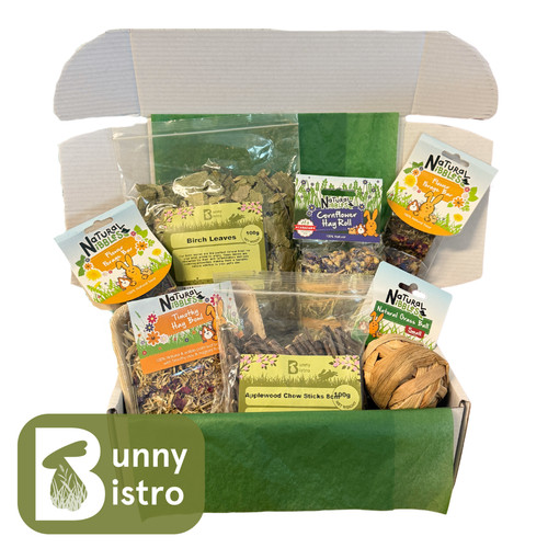 Rabbit treat box small - treat, box,