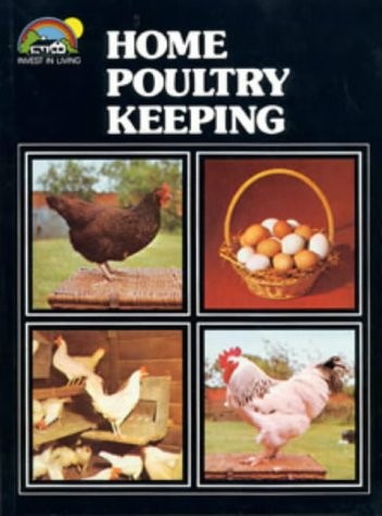 Home poultry keeping invest - home,