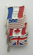 VICTORY FLAGS (Enamel Badge / Pins)