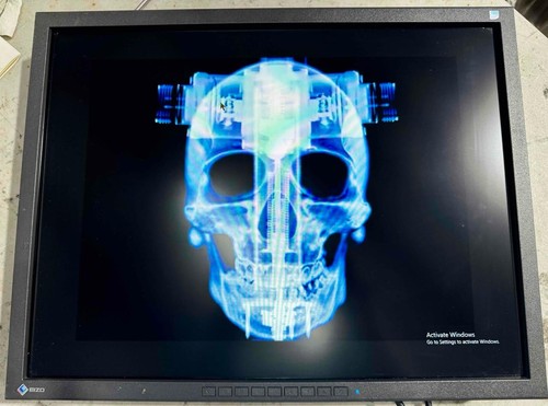 Eizo flexscan s2133 inch - 21,