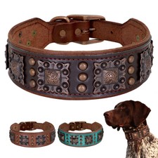 Leather collar dog 5/6 cm wide luxury dog collar bull terrier Rottweiler L XL