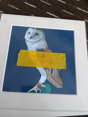 Barn owl art - **, mounted