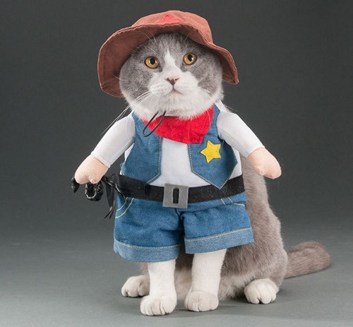 1pc pets dogs costume - dogs,