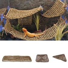 Bearded Dragon Hammock Reptile