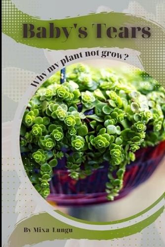 Baby tears why plant not - why, my