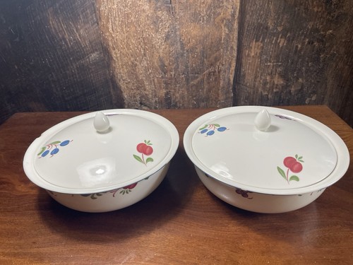 Large covered serving - x,