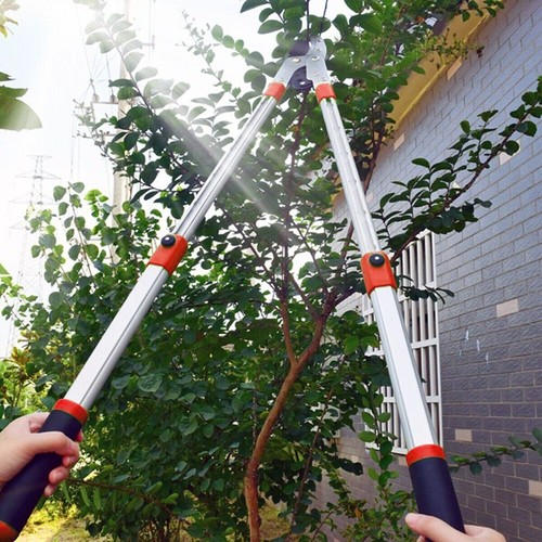 Heavy duty telescopic loppers - duty,