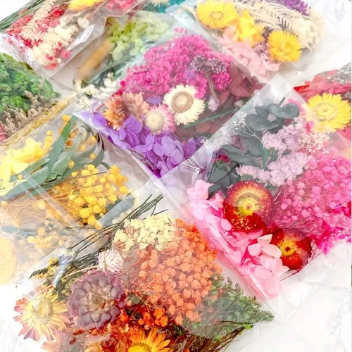 Real dried flower for diy - dried, art