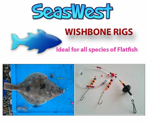 Long distance plaice flattie - long,