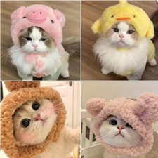 .>Cat Pet Dog Cute Animal Cap
