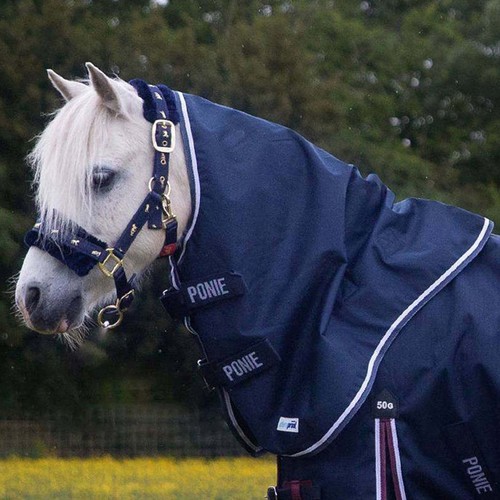 Gallop ponie duraproof - duraproof, 5-point