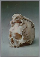 19th Century Japanese Ivory Netsuke Frog on Skull Postcard Schopplein Studio