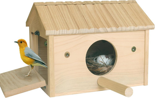 Bird nesting box wooden - bird,