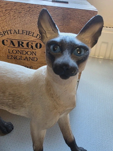 Siamese cat sculpture - ,