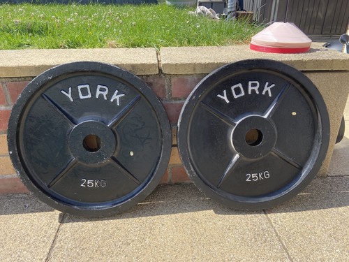 25kg york olympic weight - x,