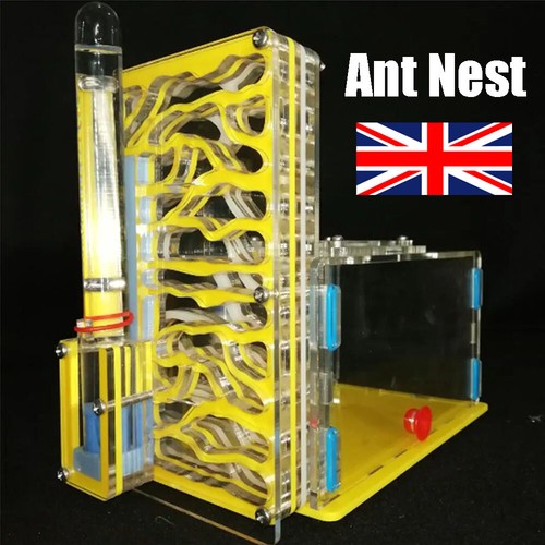 Ant house - ant,