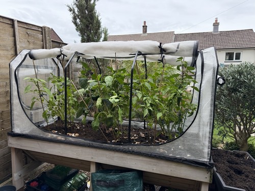 Medium veg fruit trug cover - fruit,