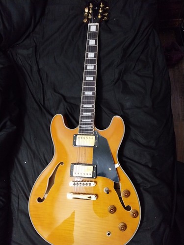 Semi hollow archtop - d,