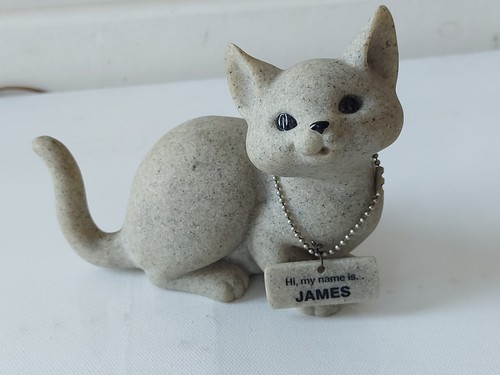 Fountasia cat granite - fountasia, style