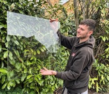 Greenhouse Shed Toughened