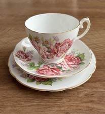 Beautiful english fine bone