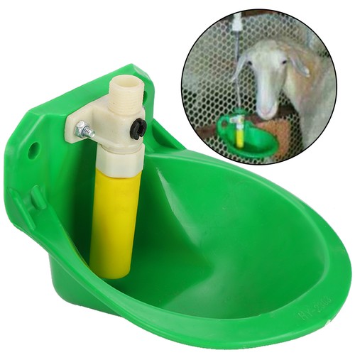 Set sheep water bowls - of,
