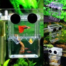 Aquarium Fish Tanks Breeding