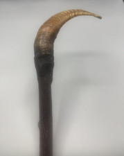 SHEPHERD'S CROOK  ANTIQUE NATURAL RAM'S HORN HANDLE WALKING STICK - 147cm LONG
