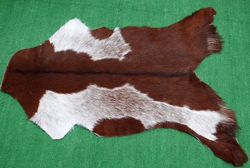 Luxury goat hide rug hair - hide, on