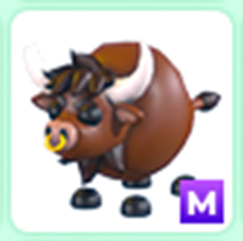 Pets hot rodeo bull - hot,