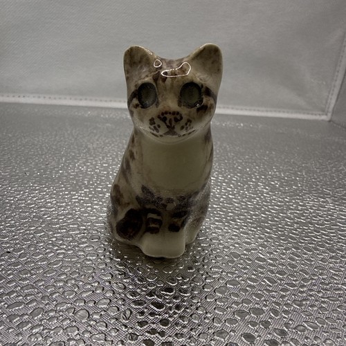 Winstanley miniature tabby - tabby, cat