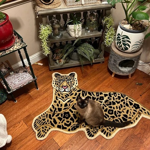Faux fur animal print - faux,