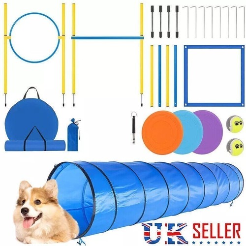 300cm dog agility - dog,