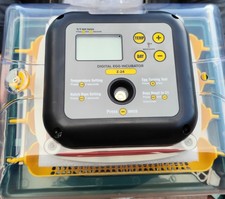 24 Egg Automatic Chicken