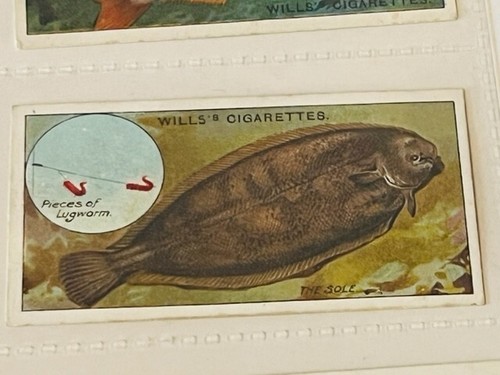 Wills cigarettes tobacco - wills,