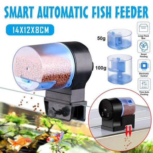 Automatic fish feeder for - fish,