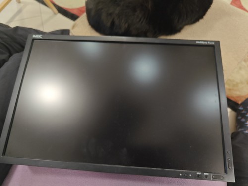 Nec multisync p221w - nec,