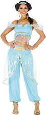 Arabian princess costume